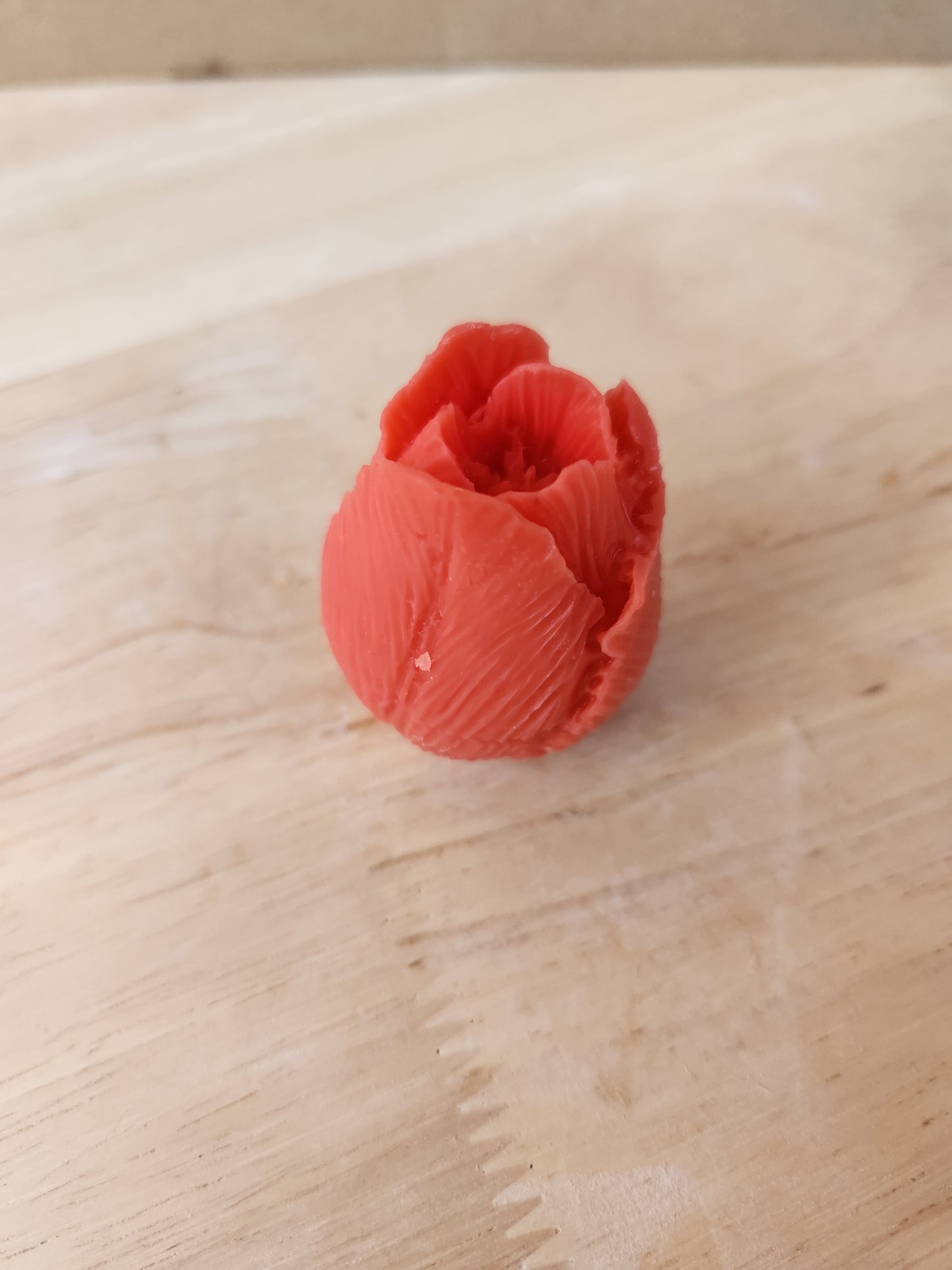 Tulip flower