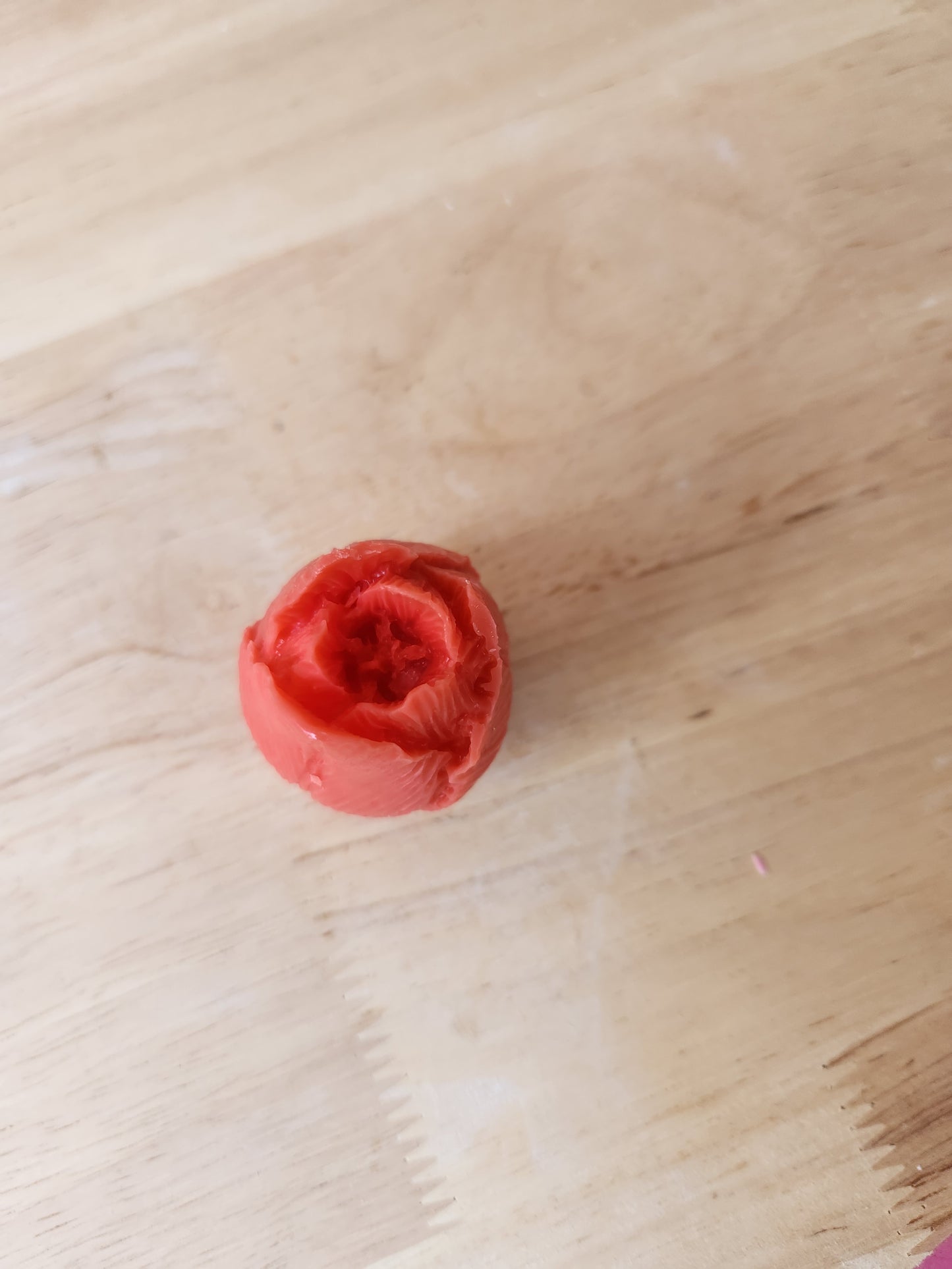 Tulip flower