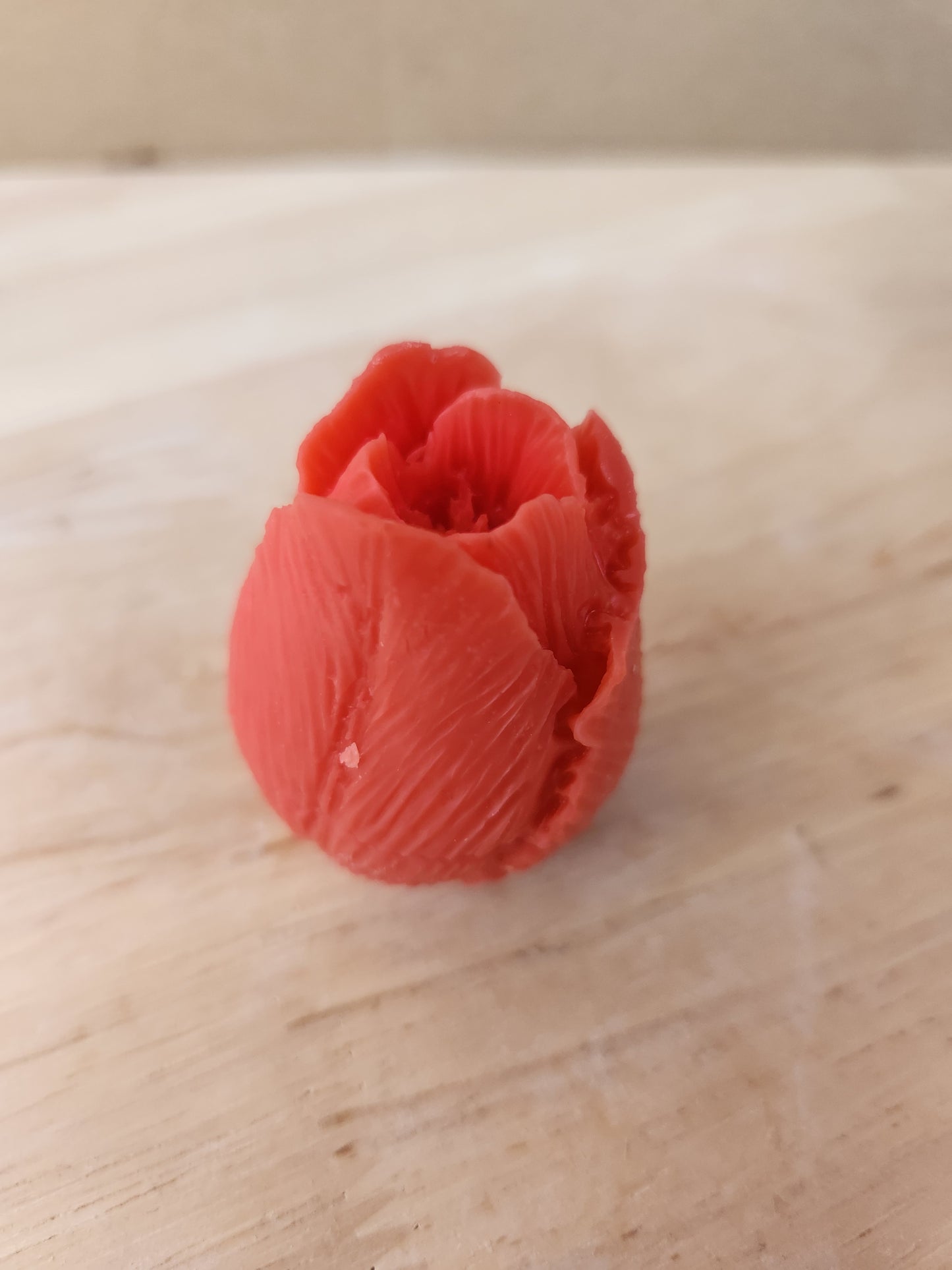 Tulip flower
