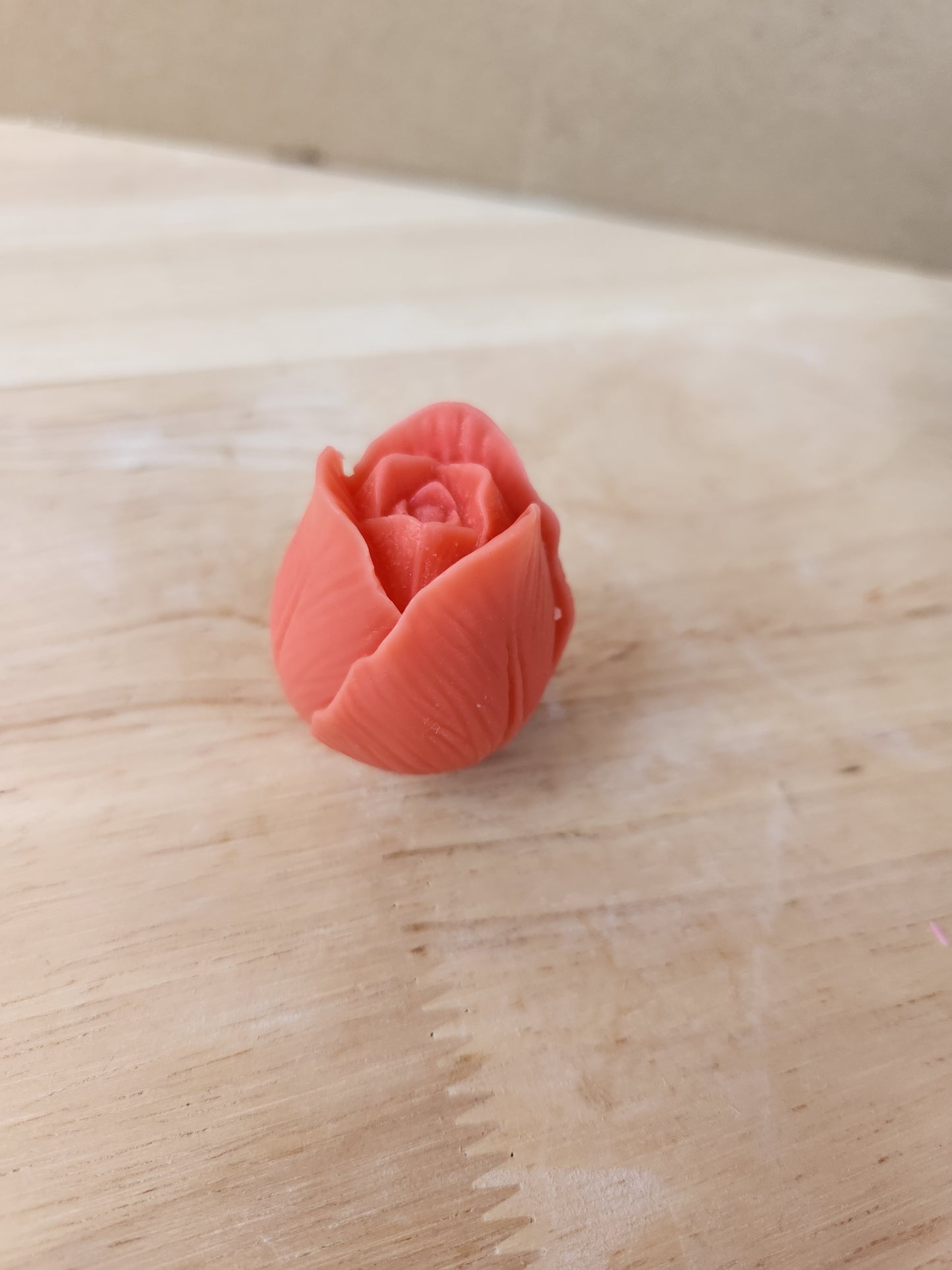 Tulip flower