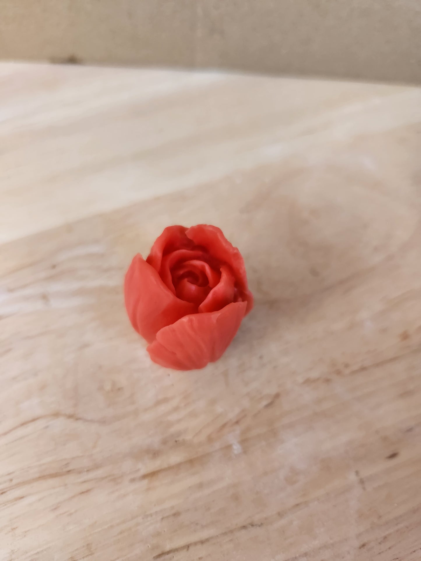 Tulip flower