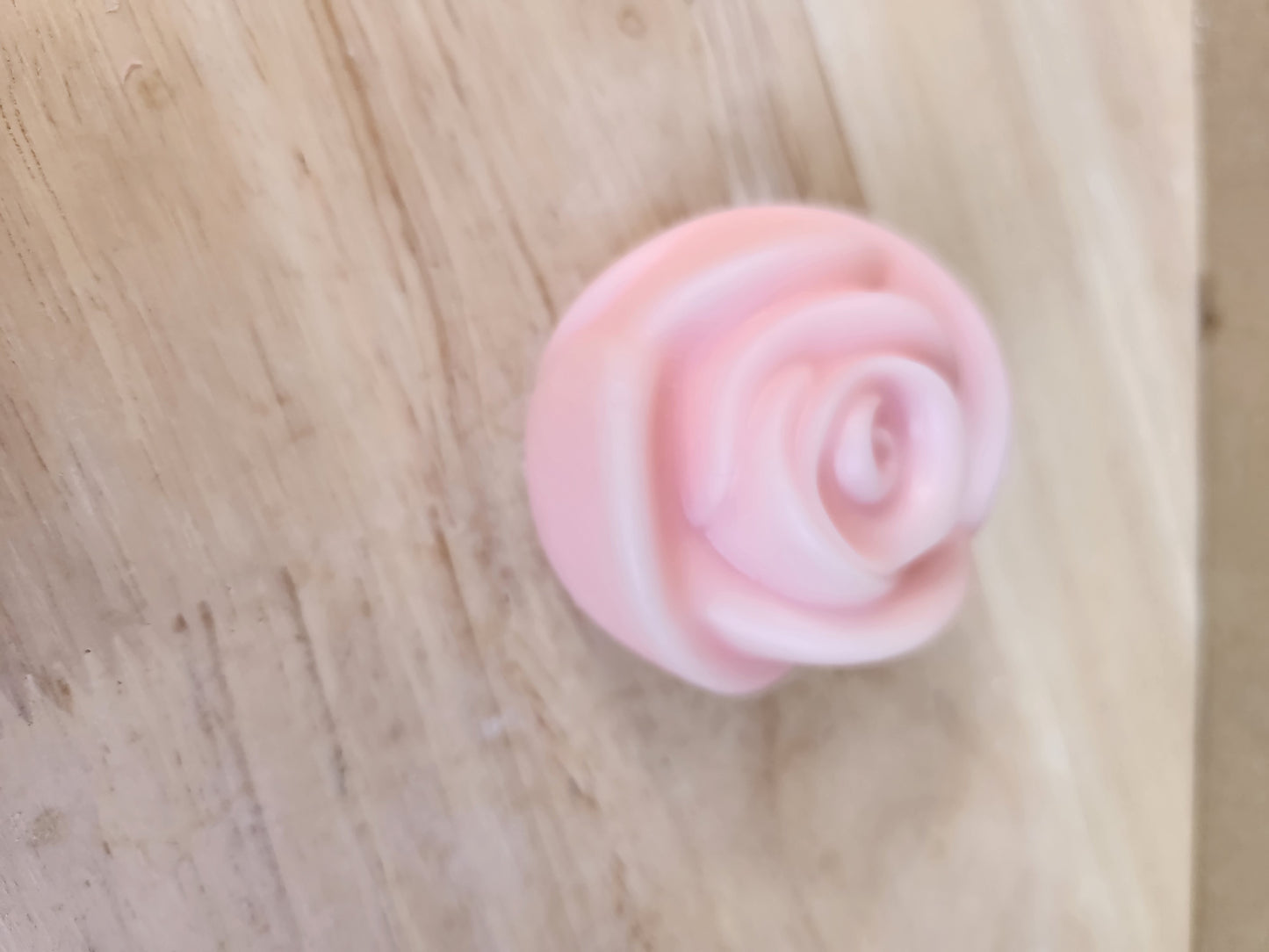 Rose flower