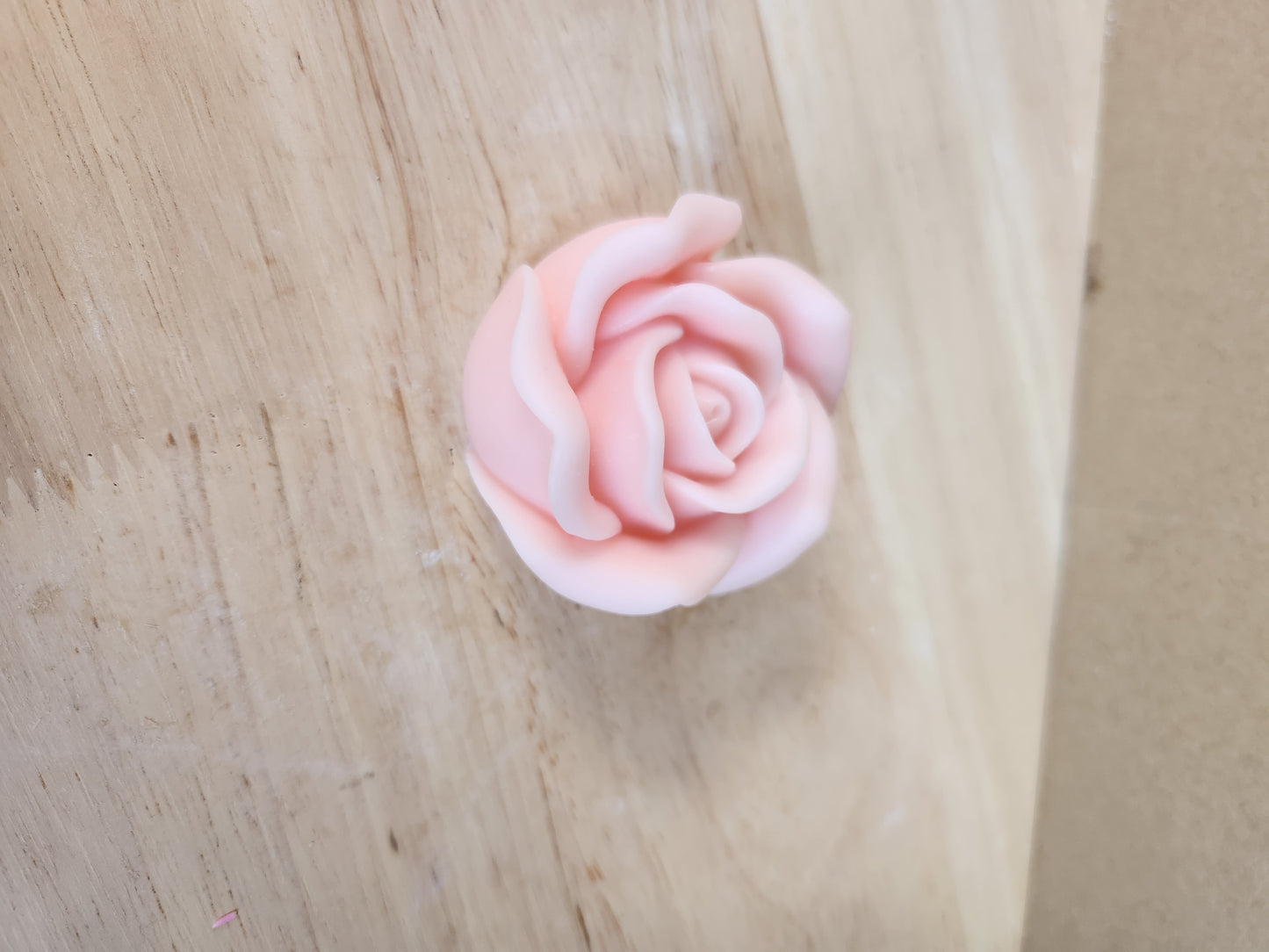 Rose flower