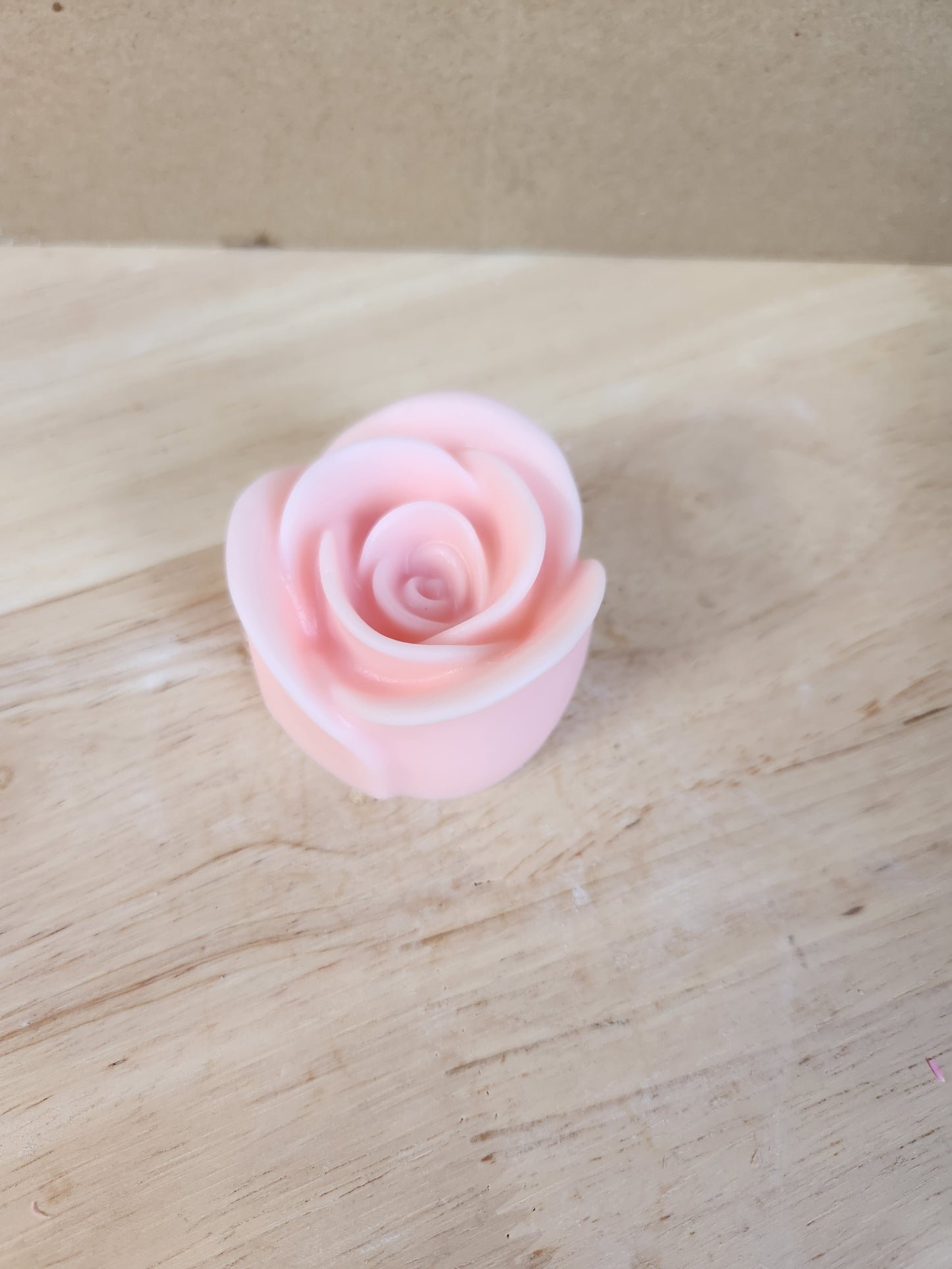 Rose flower