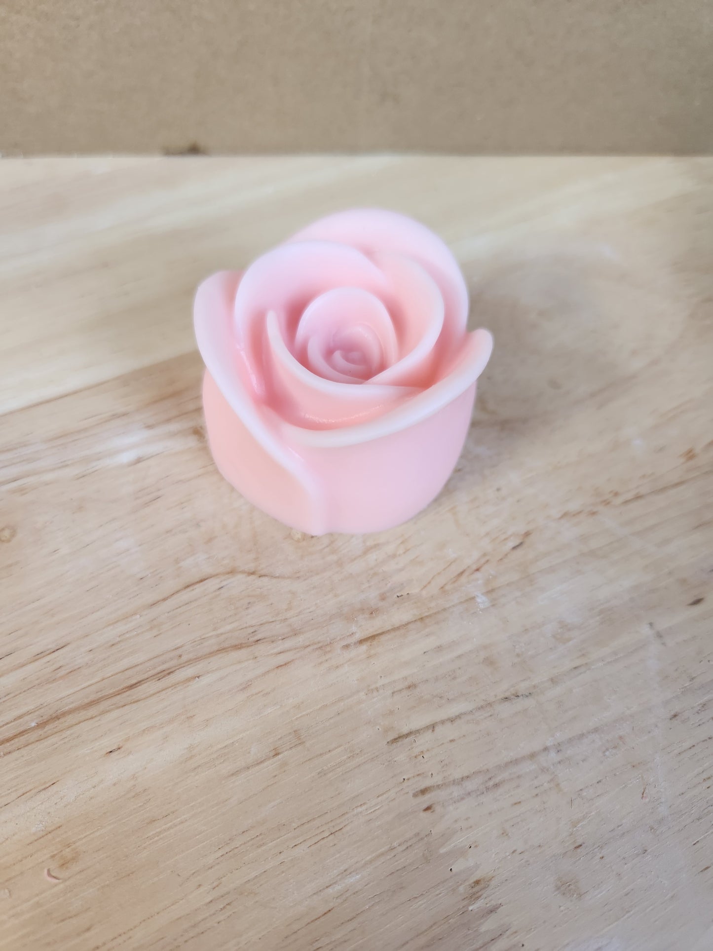 Rose flower