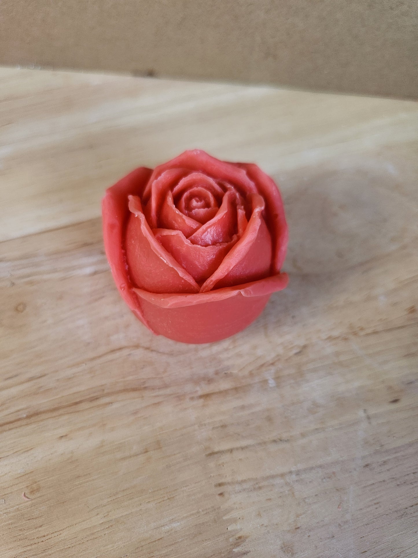 Rose flower