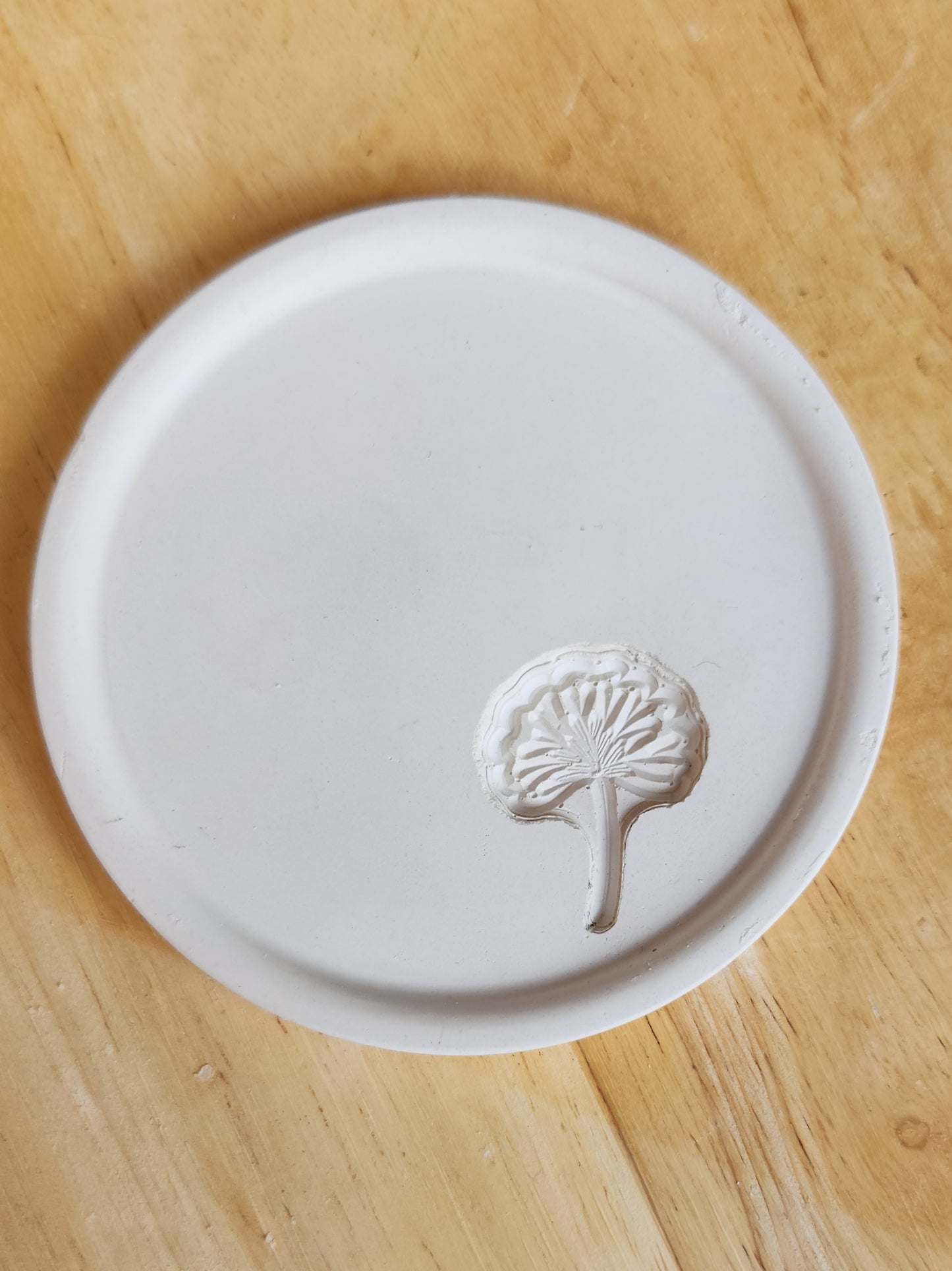 Circular Coaster