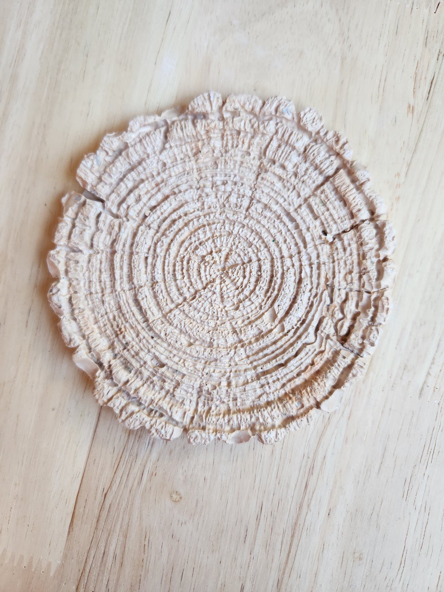 Round Trunk Tray