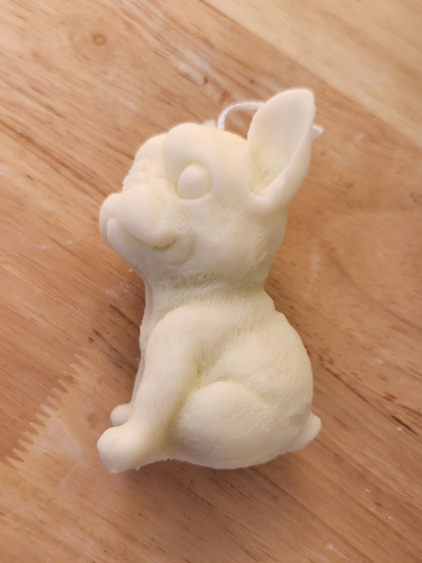 Dog Candle