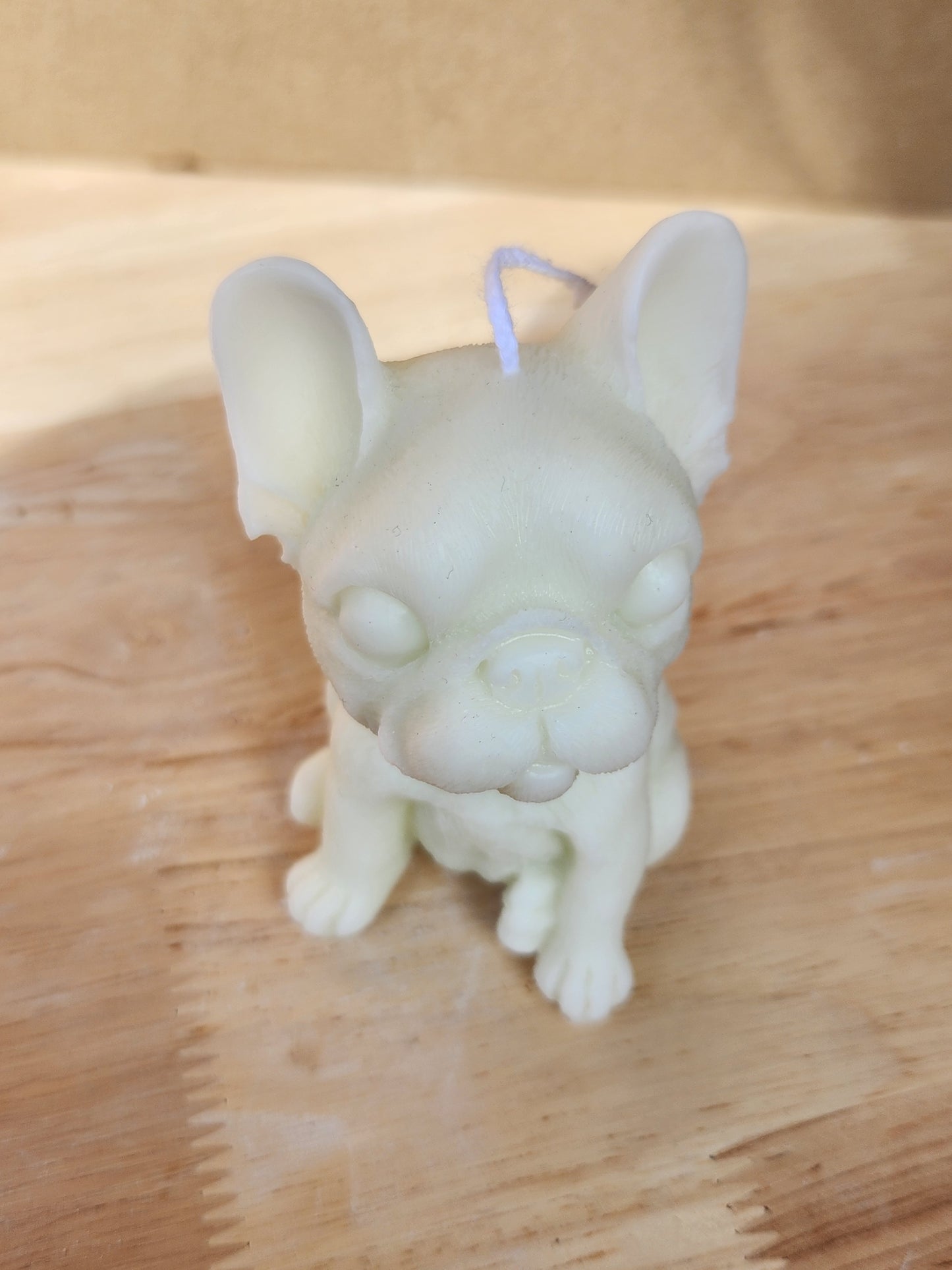 Dog Candle
