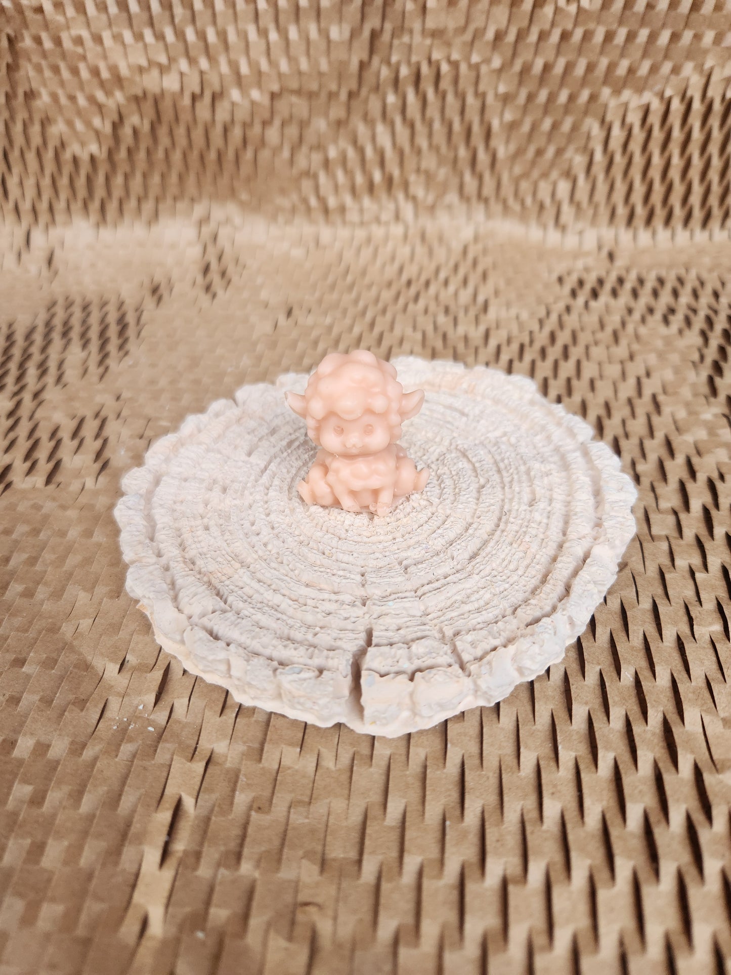 Blessing Sheep