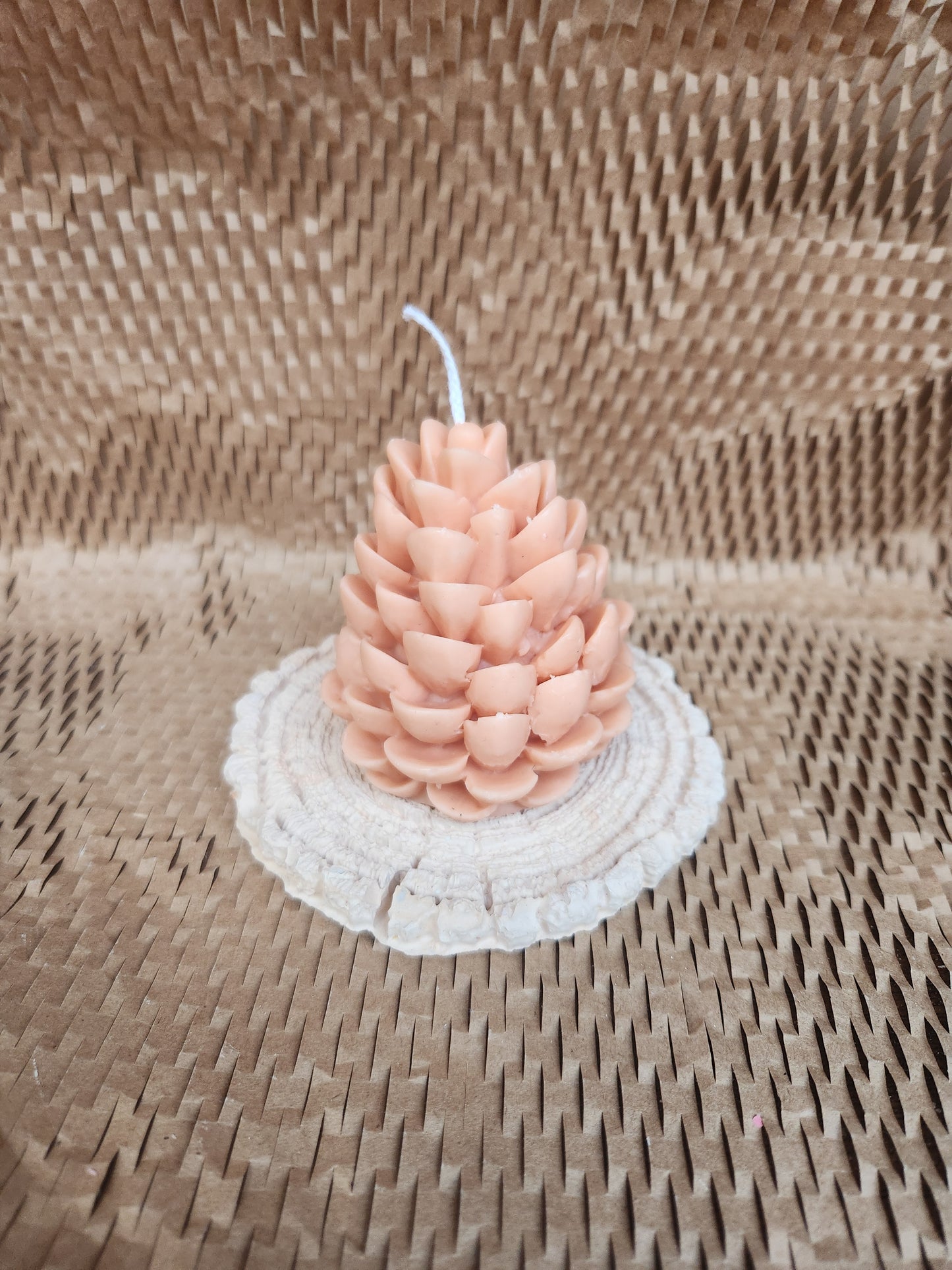 Conifer cone