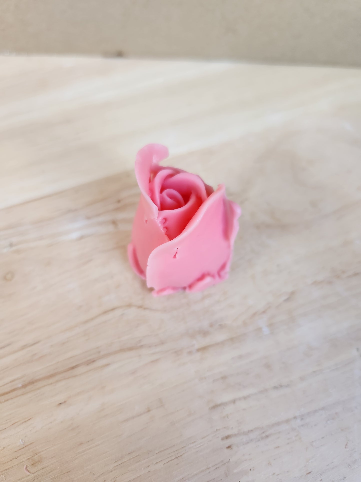 Tulip flower