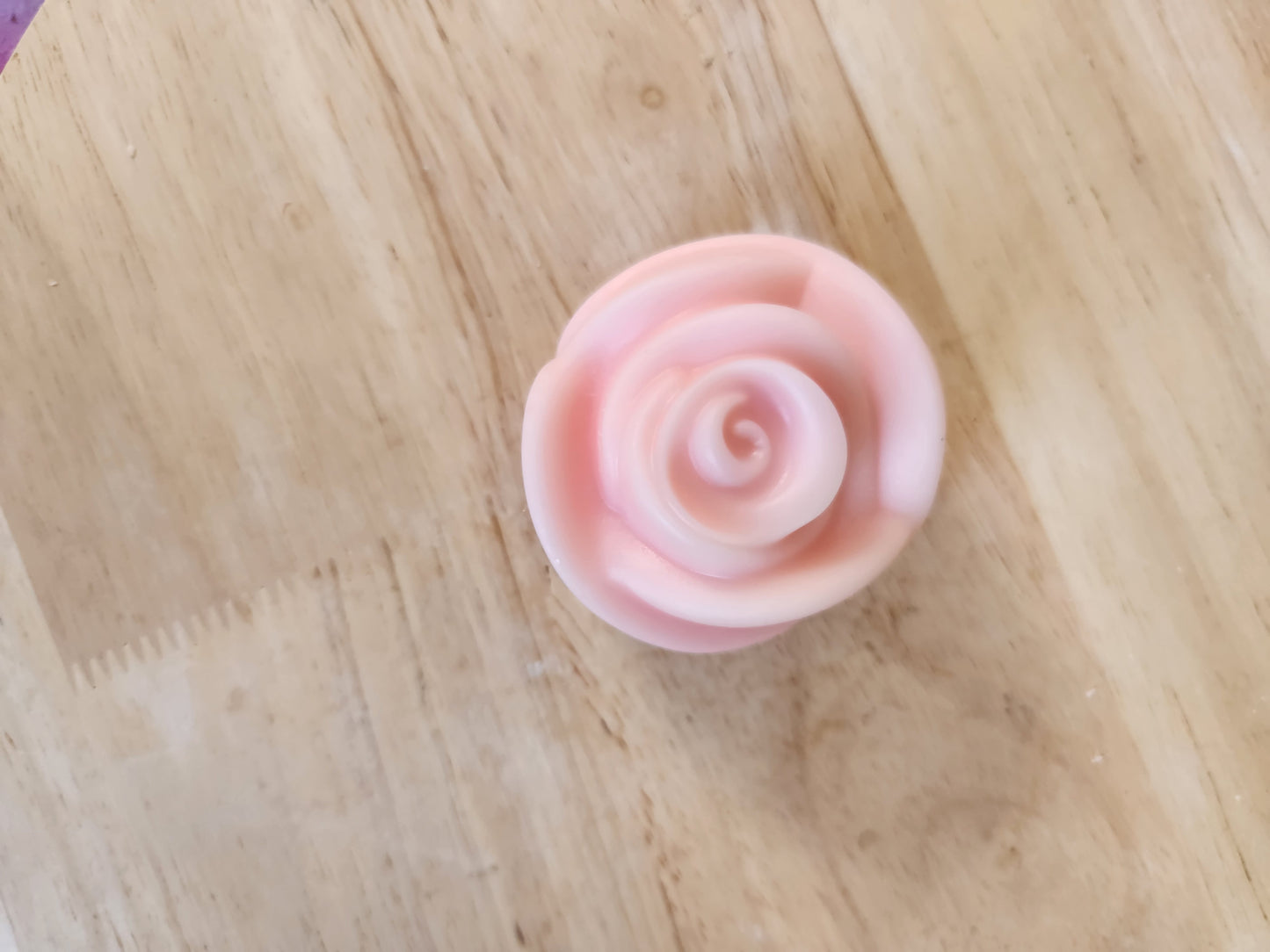 Rose flower