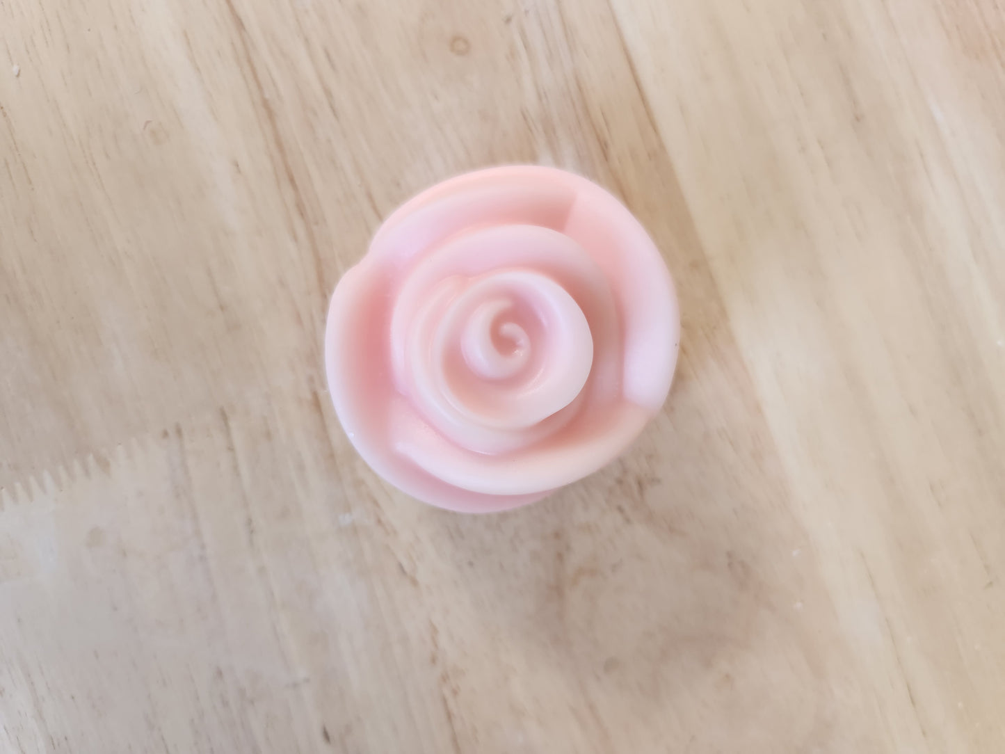 Rose flower