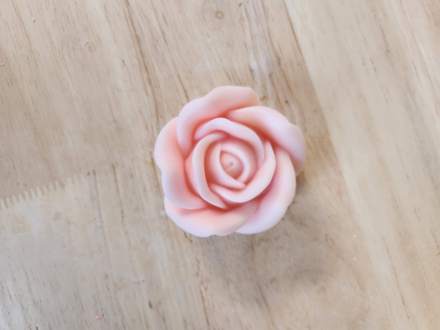 Rose flower