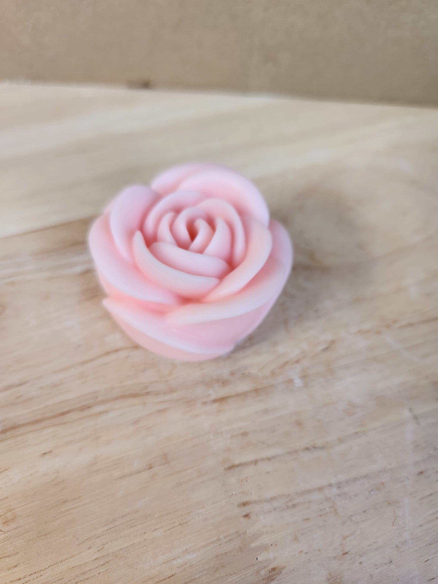 Rose flower