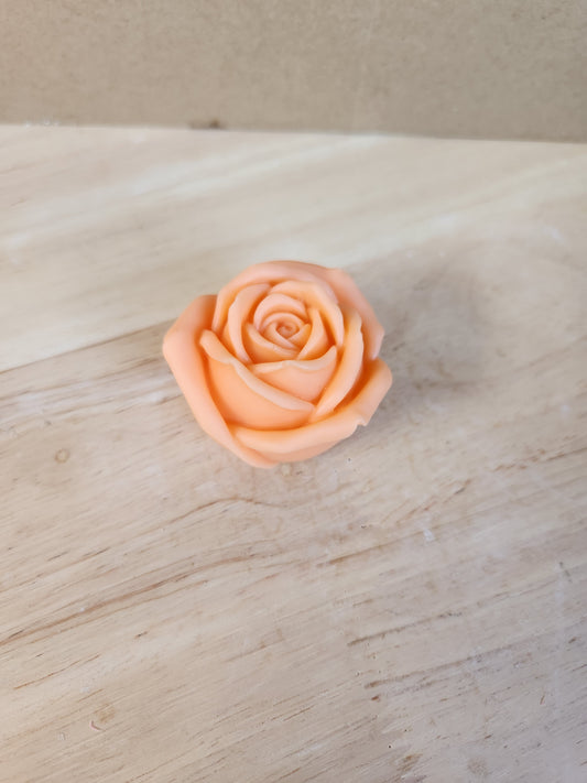 Rose flower