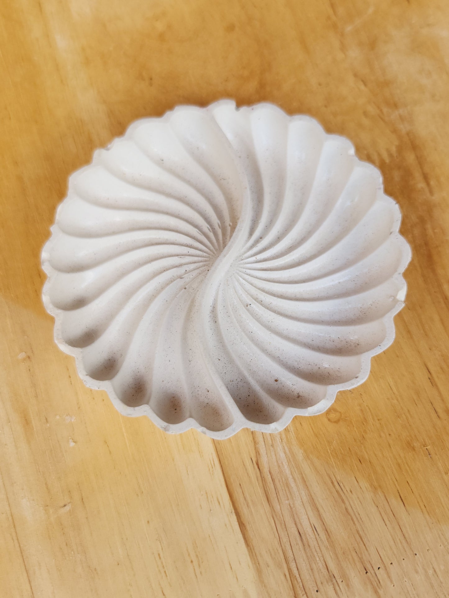 Ocean Scallop Shell Tray