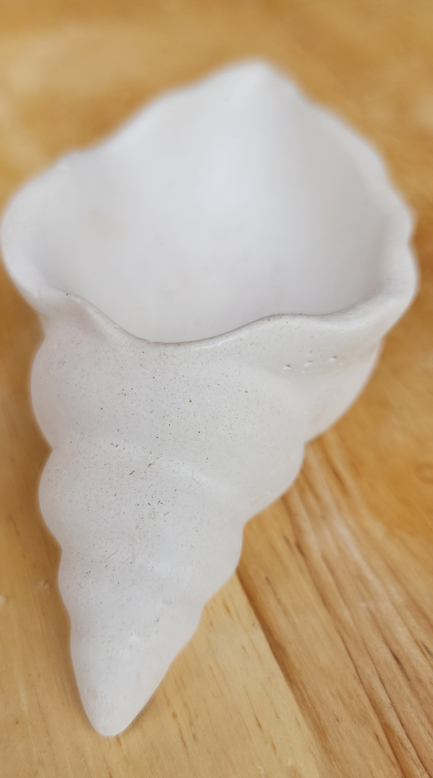 Costal Seashell Holder