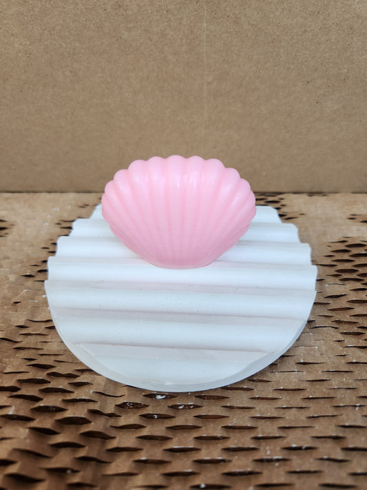 Shell Candles