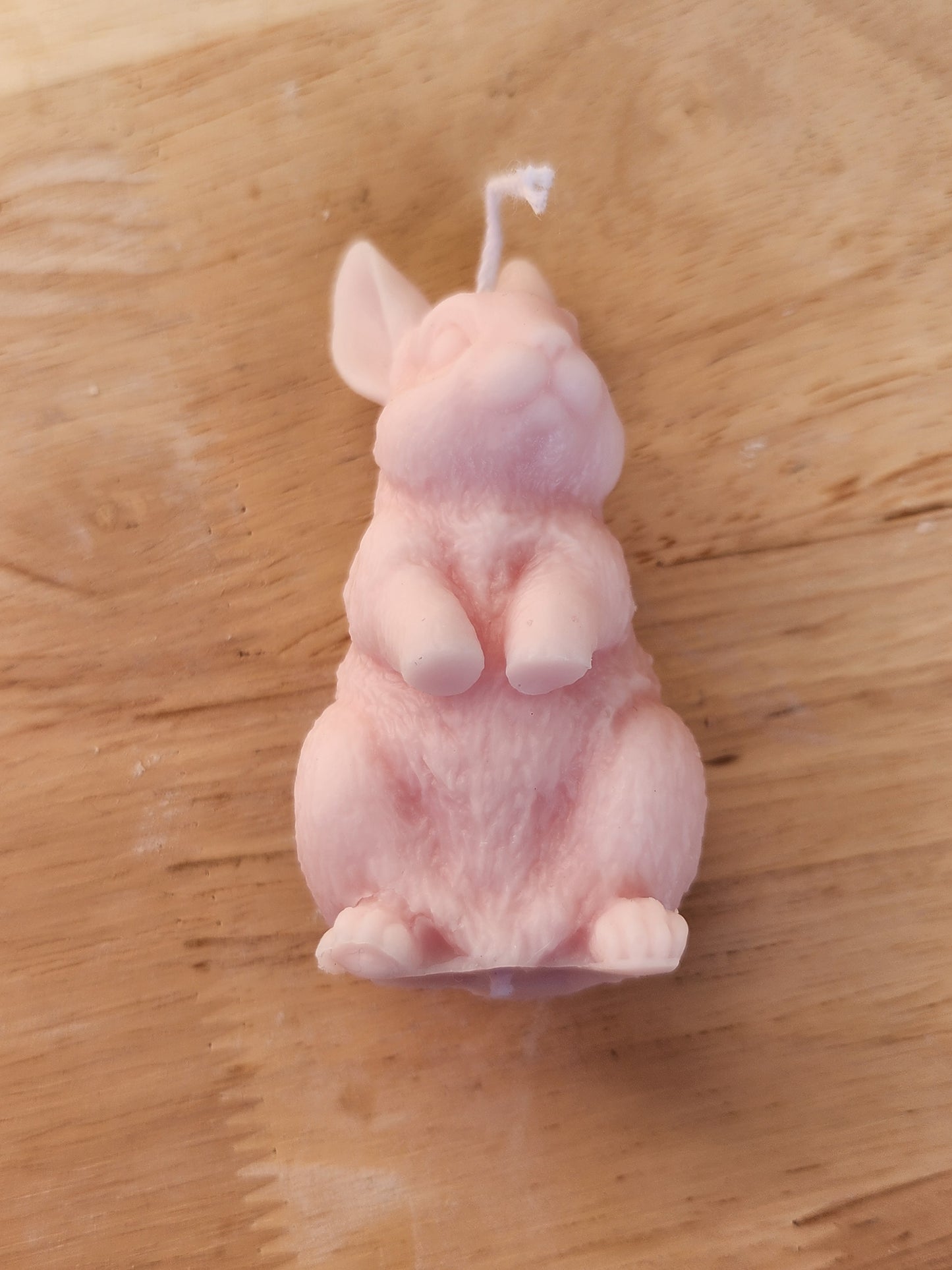 Easter Bunny