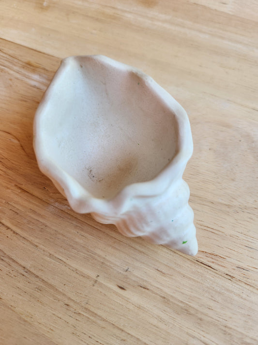 Costal Seashell Holder