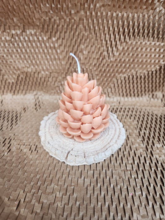 Conifer cone