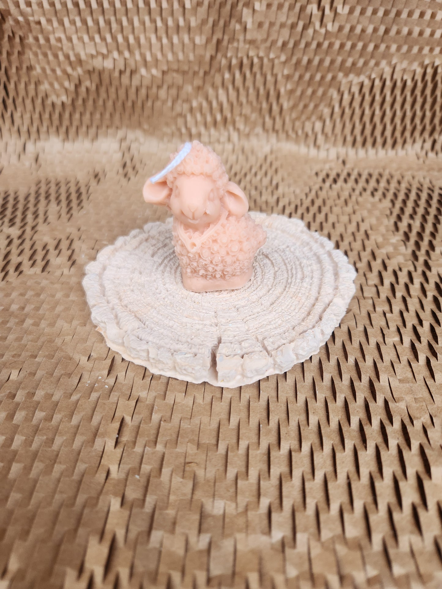 Blessing Sheep